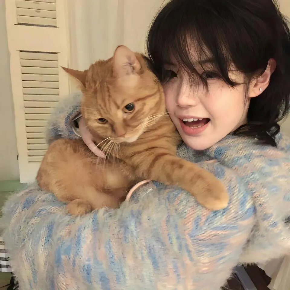 僵尸国度第四季