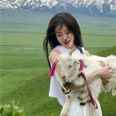 寅次郎的故事35：寅次郎恋爱补习班